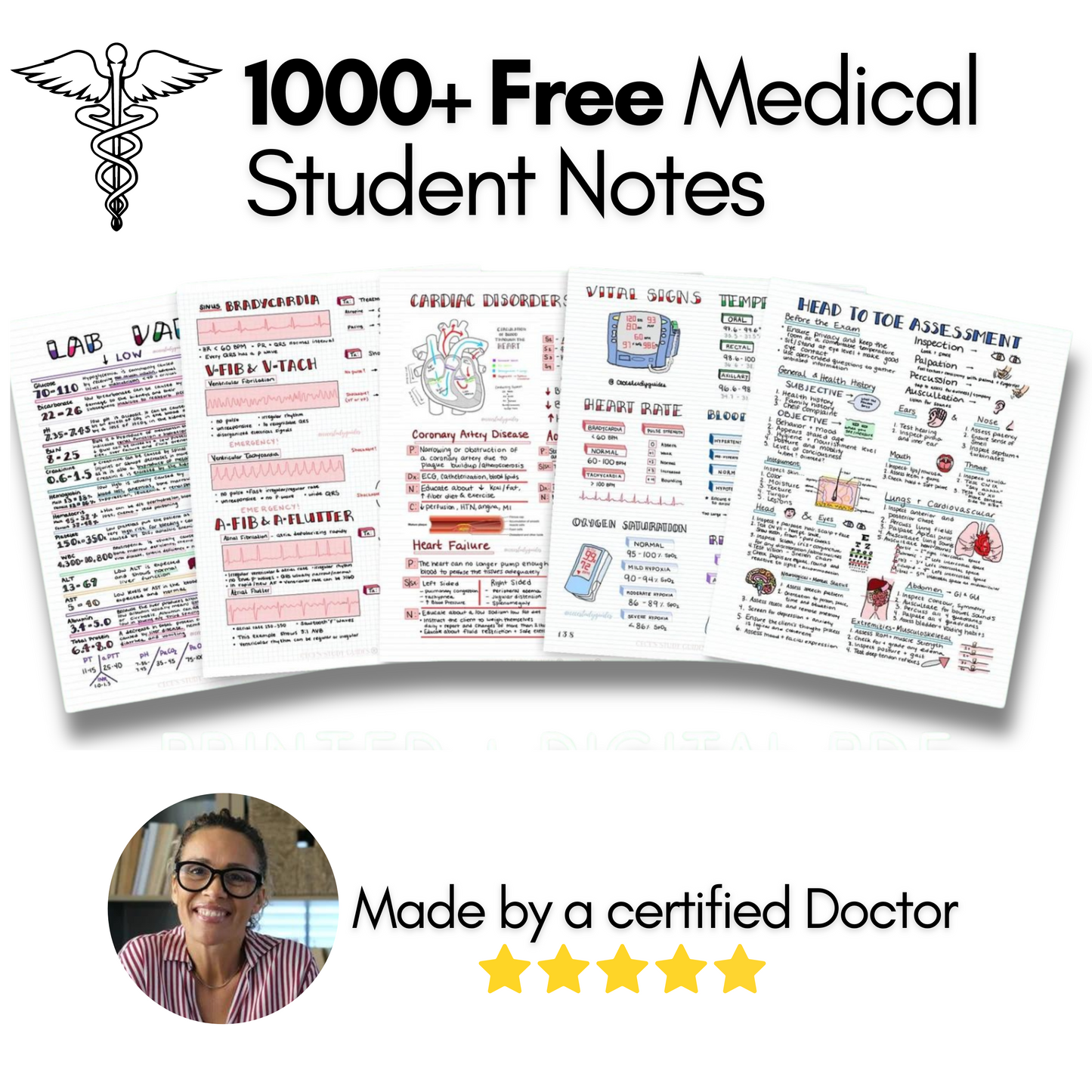 1000 + Free Medical Student Notes